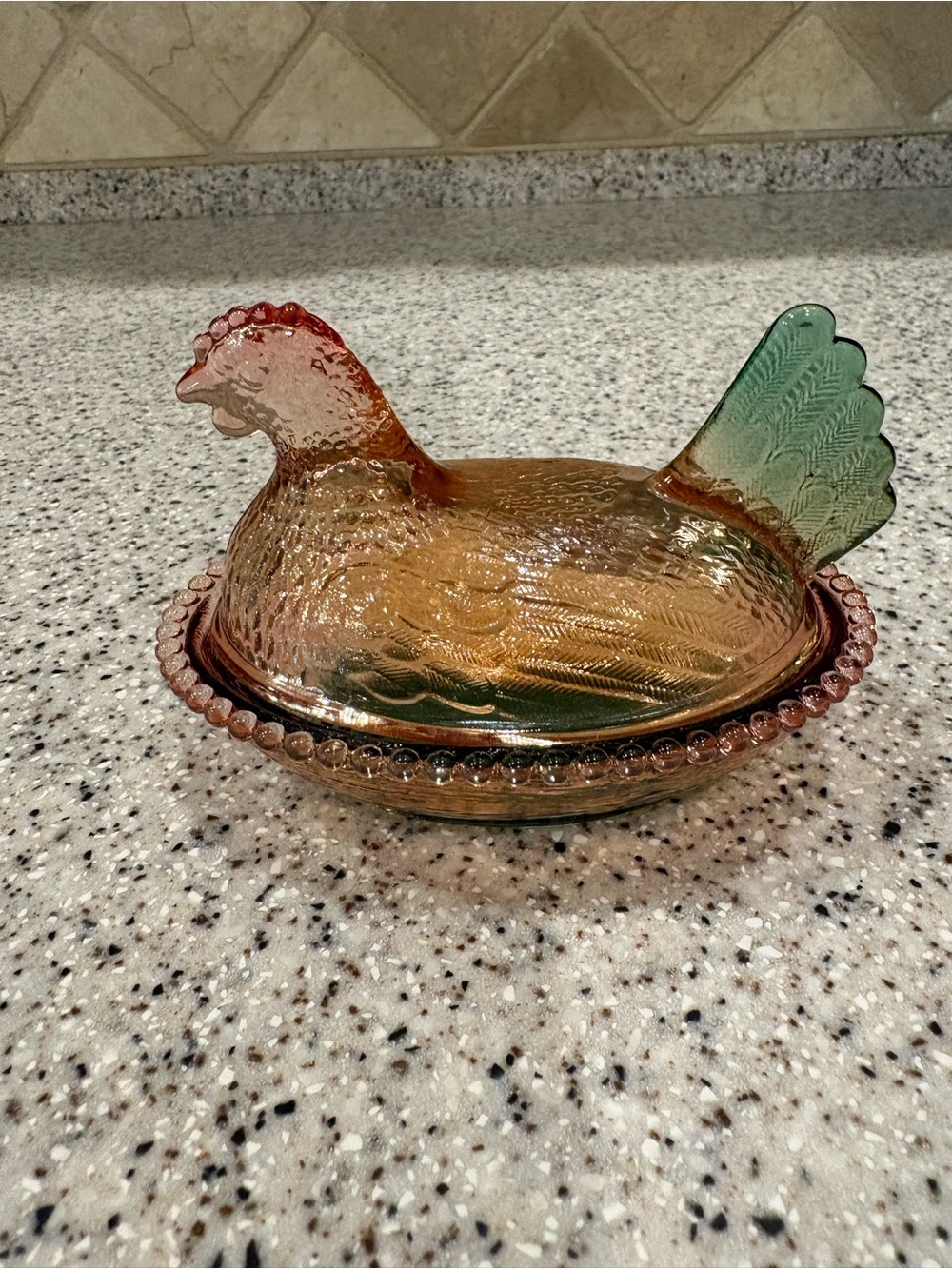 Amber And Green Chicken On Nest